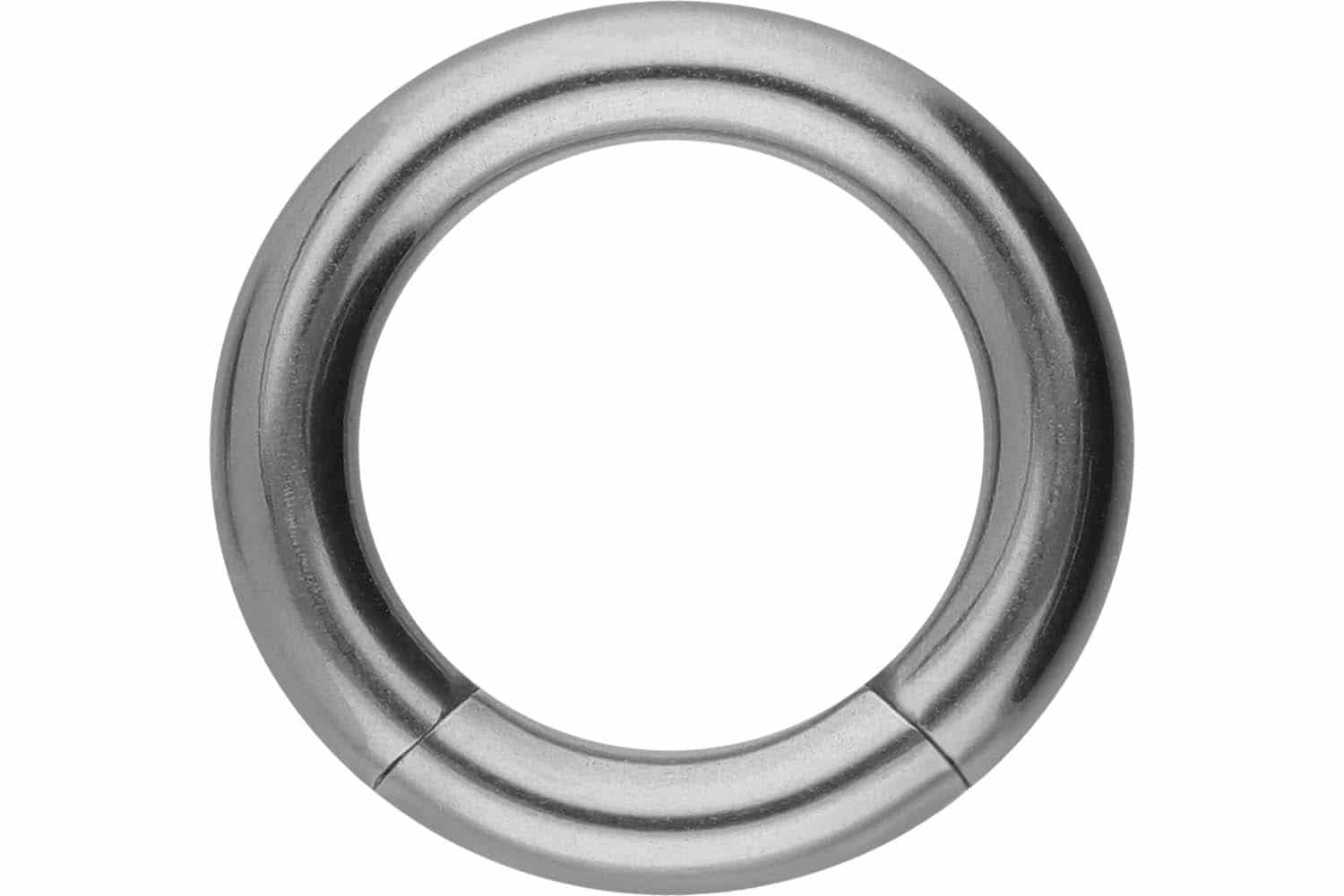 Titanium segment ring