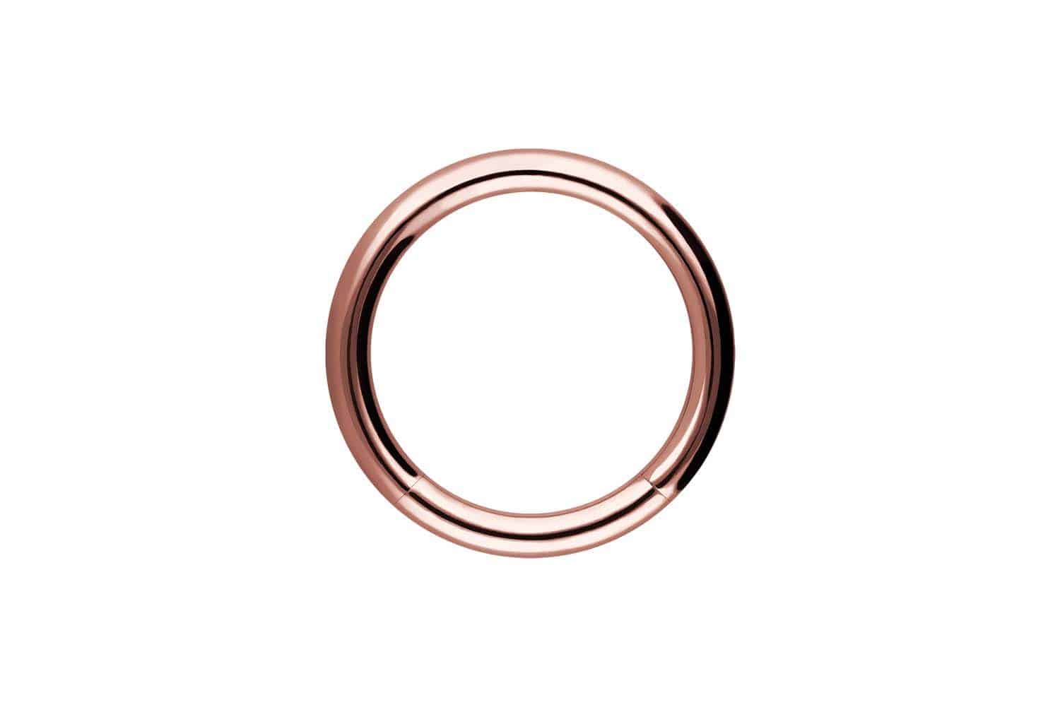 Surgical steel segment ring