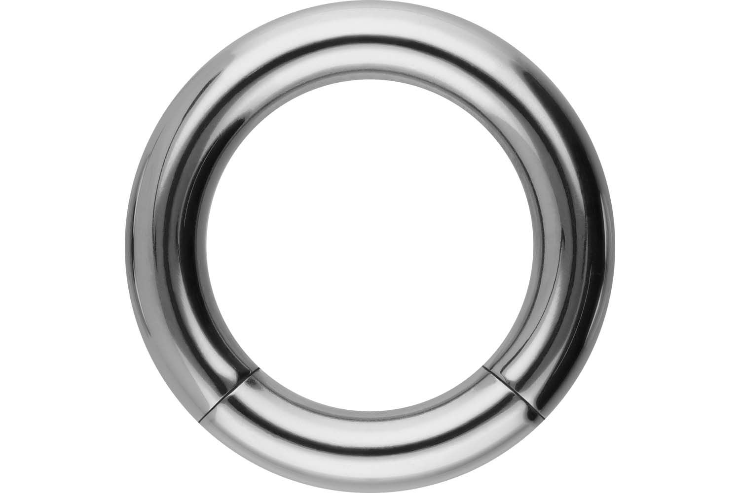 Titanium segment ring