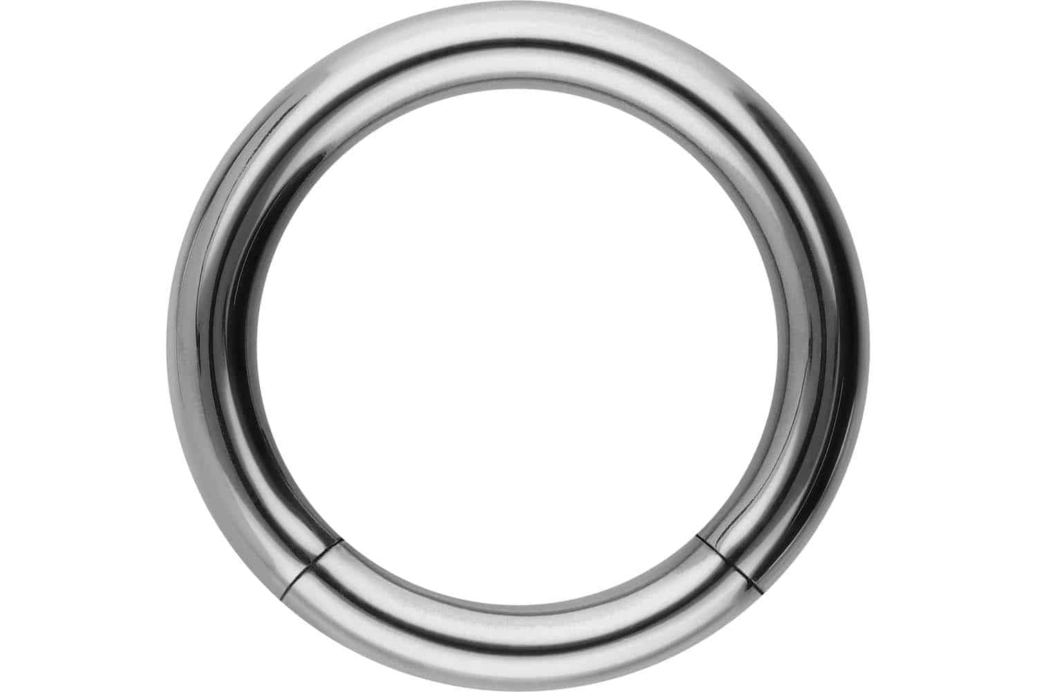 Titanium segment ring