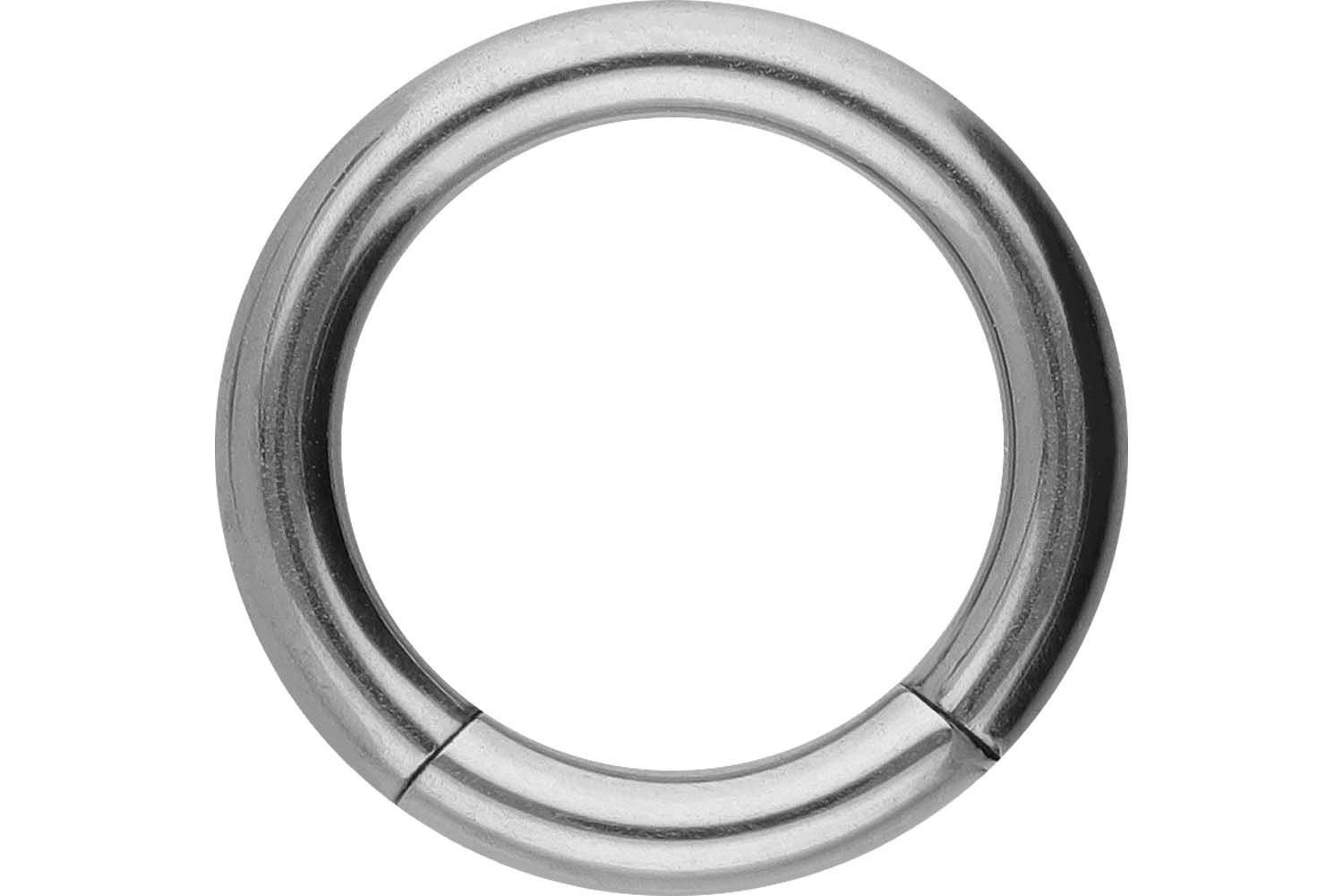 Titanium segment ring