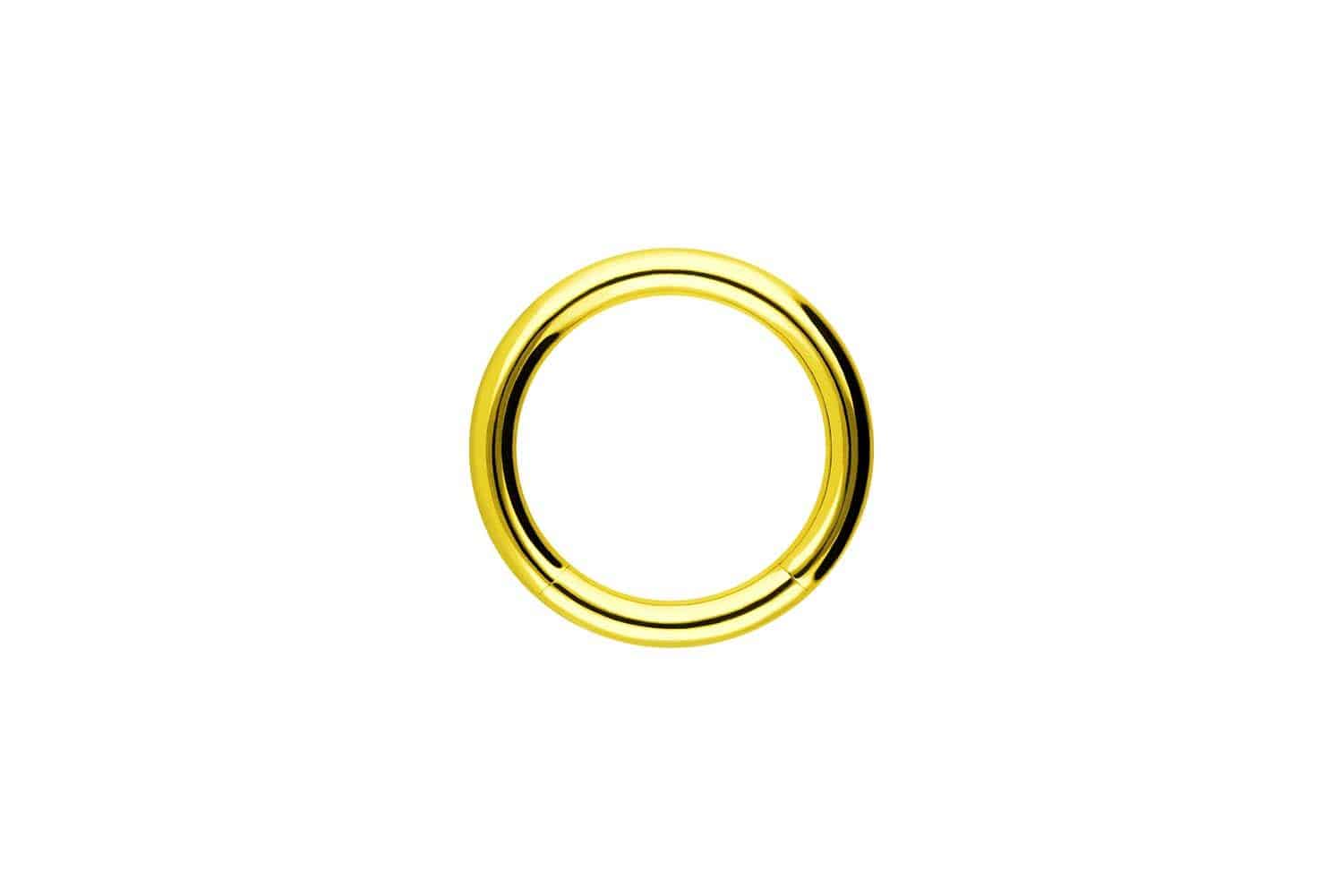 Surgical steel segment ring