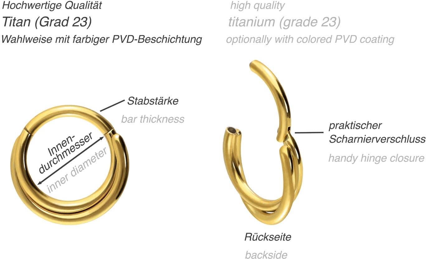 Titanium segment ring clicker 2 CROSSED RINGS