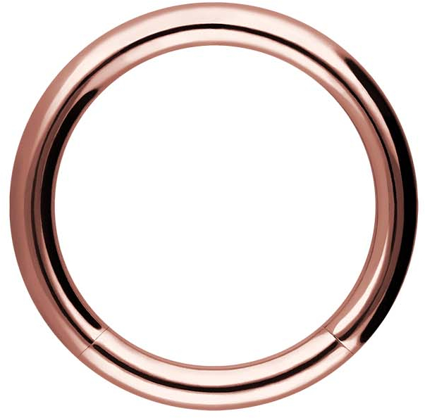 Surgical steel segment ring