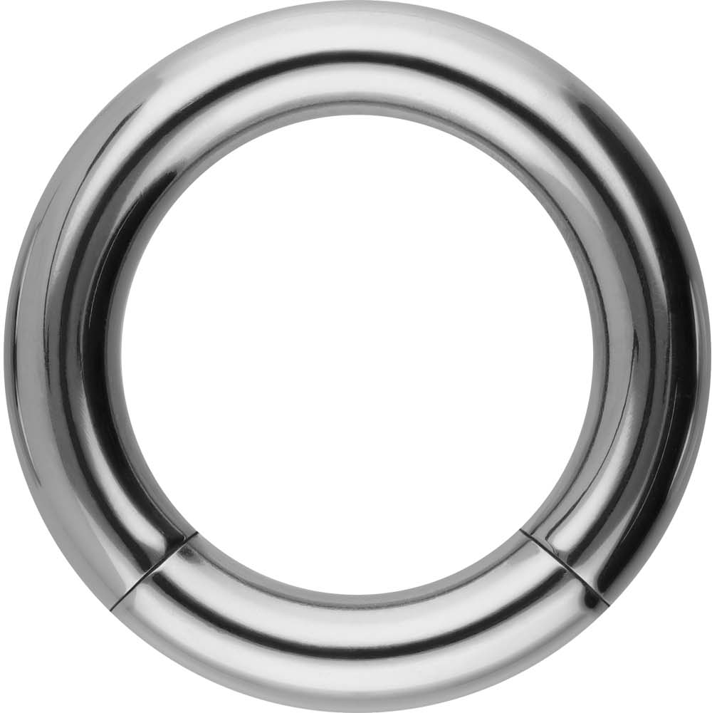 Titanium segment ring