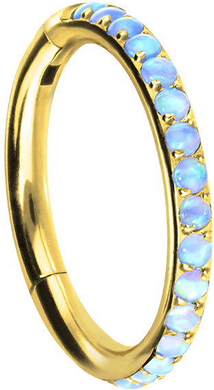 Titanium segment ring clicker SYNTHETIC OPALS