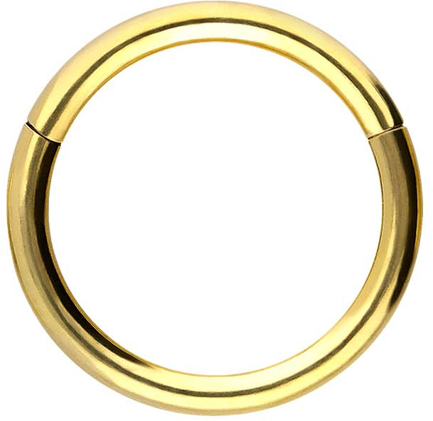 18 carat gold segment ring clicker