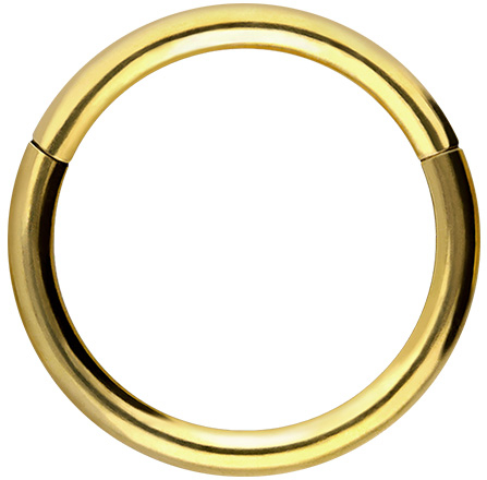 18 carat gold segment ring clicker