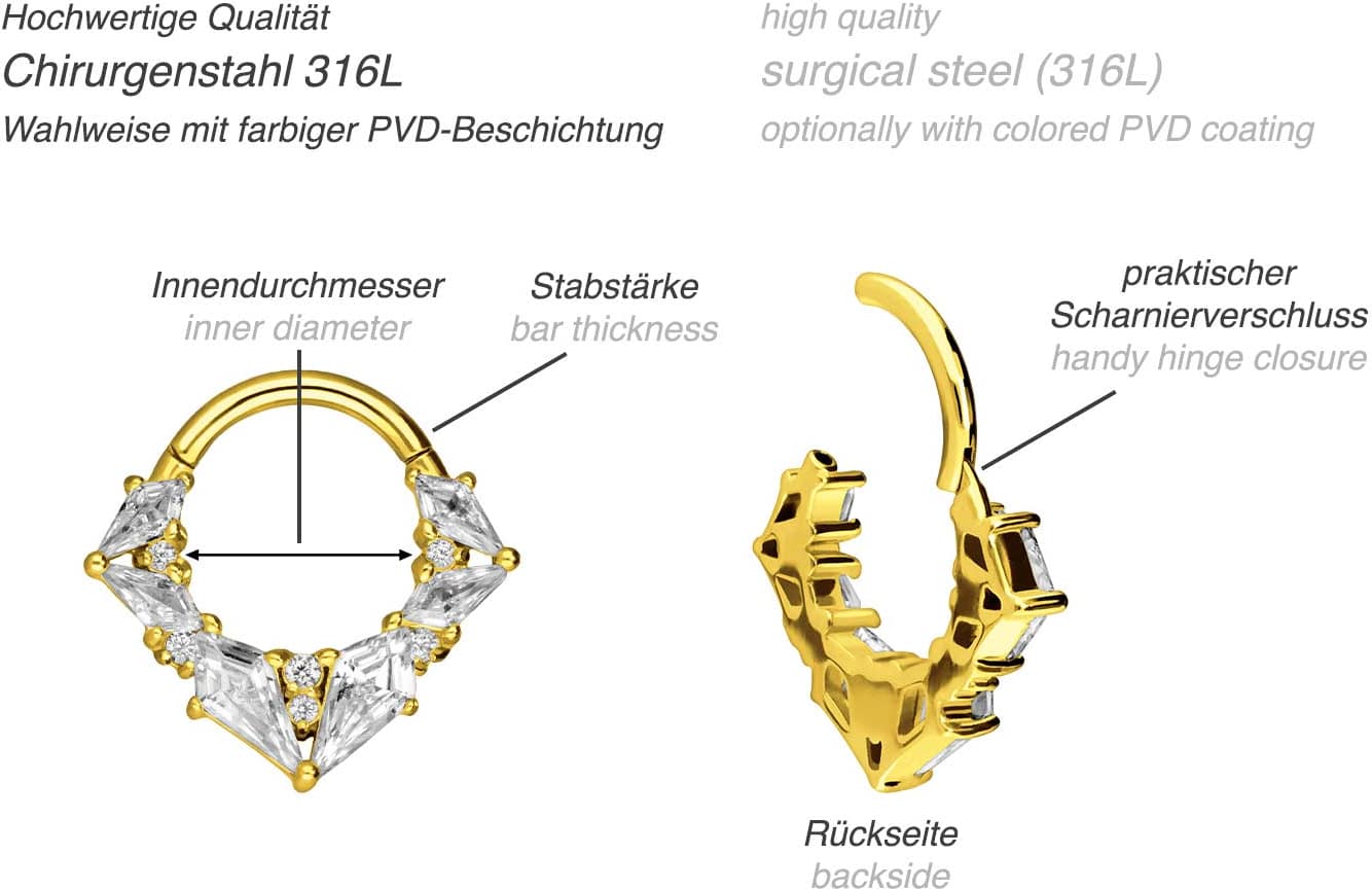 Chirurgenstahl Segmentring Clicker EINGEFASSTE KRISTALLE