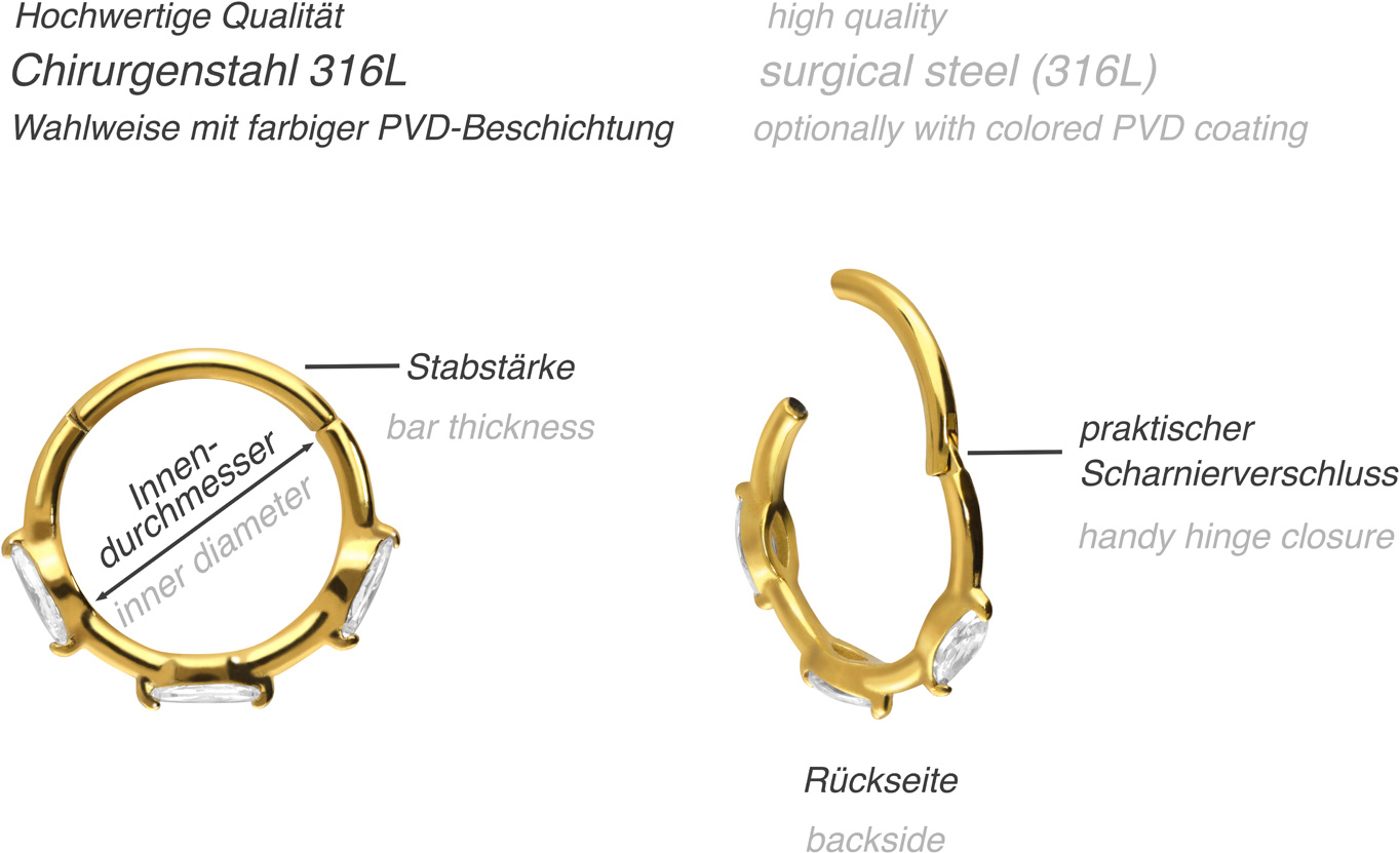 Chirurgenstahl Segmentring Clicker EINGEFASSTE KRISTALLE