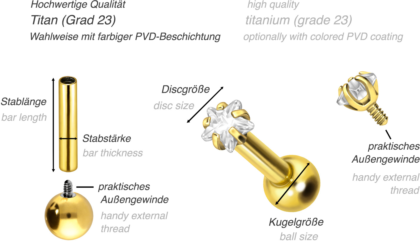 Titan Ohrpiercing mit Innengewinde EINGEFASSTER KRISTALLSTERN