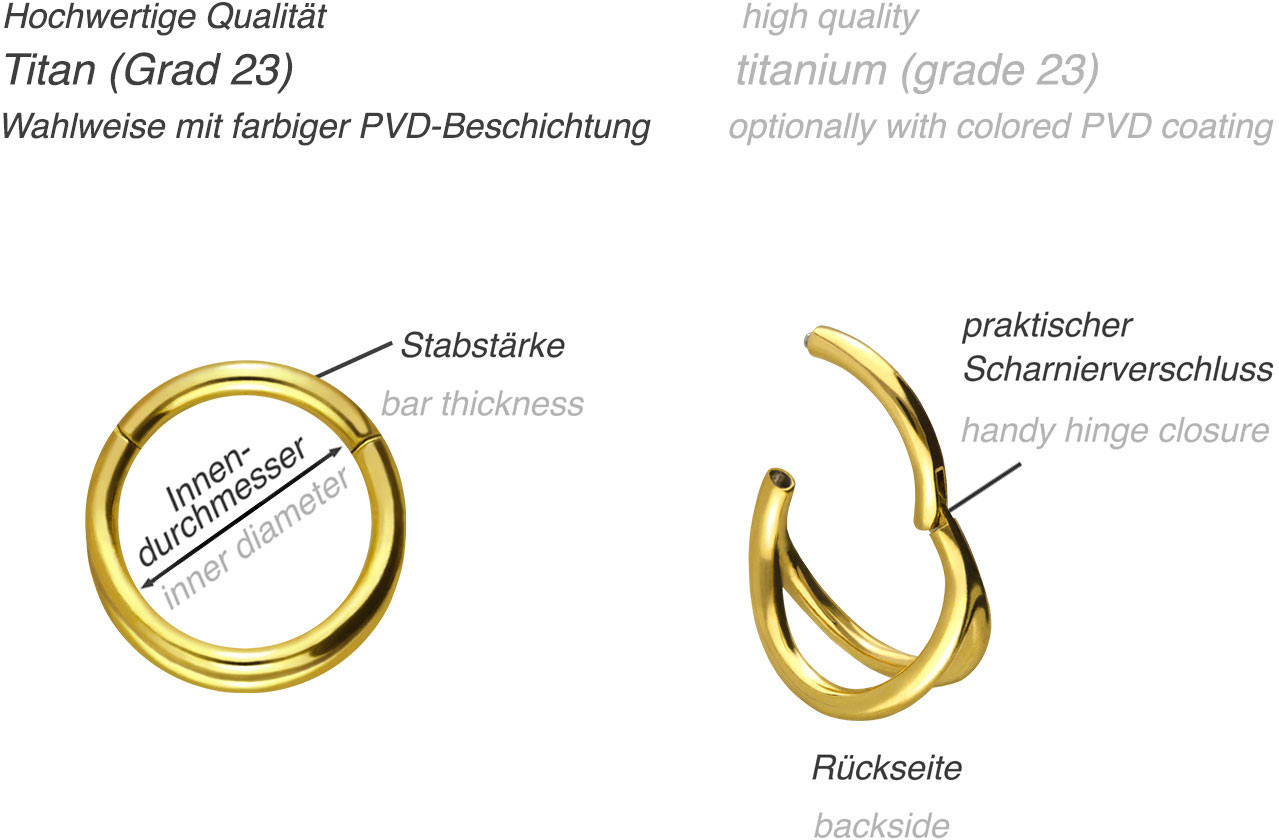 Titanium segment ring clicker 2 RINGS